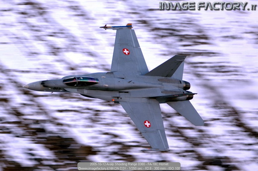 2005-10-12 Axalp Shooting Range 0360 - FA-18C Hornet